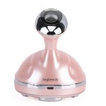 Segbeauty Ultrasound Cavitation RF Massage Device Red LED Light Therapy for External Slimming Skin Tightening Toning and Firming