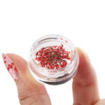 Nail Art Accessories Dried Flowers, Segbeauty 24 Different Colorful Nail Stickers For DIY Crafts Nails Decorations