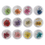 Nail Art Accessories Dried Flowers, Segbeauty 24 Different Colorful Nail Stickers For DIY Crafts Nails Decorations