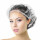 Segbeauty 100pcs/lot Disposable Shower Caps Hat Bathing Hotel Dye Spa One-Off Elastic Shower Cap Clear Salon Bathroom Caps