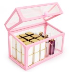 Segbeauty Lipstick Makeup Organizer 18 Slots Cosmetic Storage Box with Lid Beauty Transparent Dust-proof Cosmetic Holder